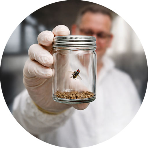 Raymond Schneider mit einem Schädling